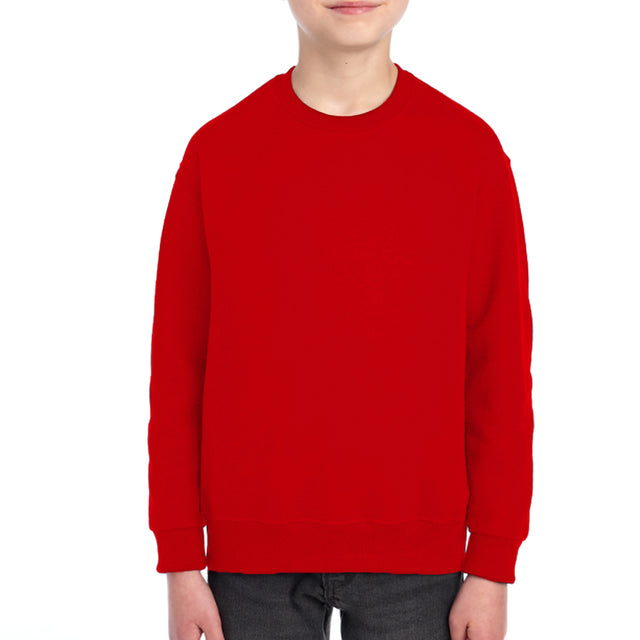 2989 Youth Fleece Sweatshirt