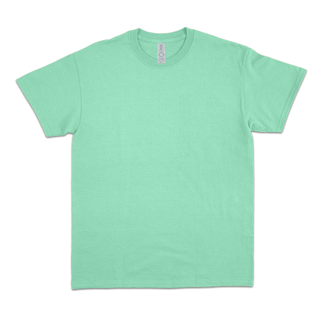2582 Unisex Jersey Short Sleeve Tee 4.3 Oz** (Light)